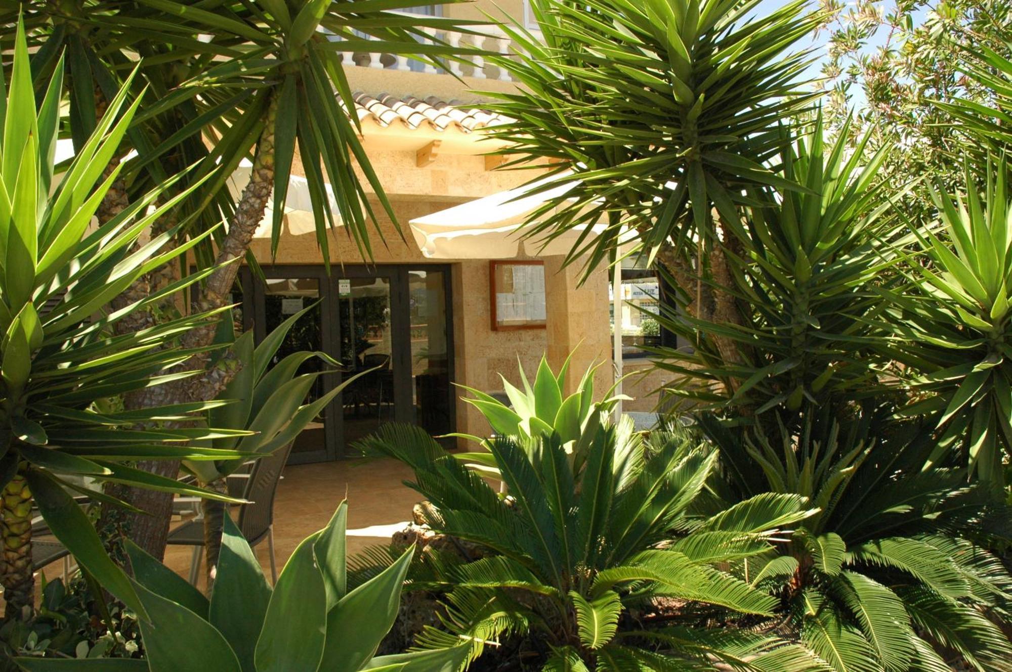 Hotel Noguera アルビール エクステリア 写真